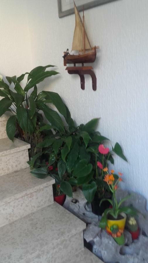 Apartment Bojana Novi Vinodolski Luaran gambar