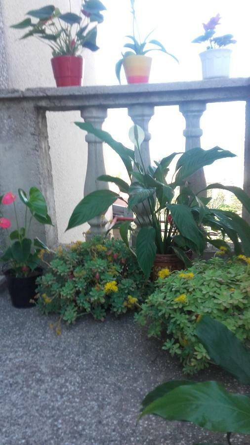 Apartment Bojana Novi Vinodolski Luaran gambar